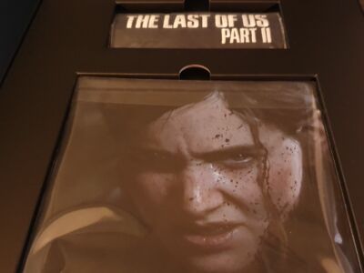 The last of us part II Ellie edition USA