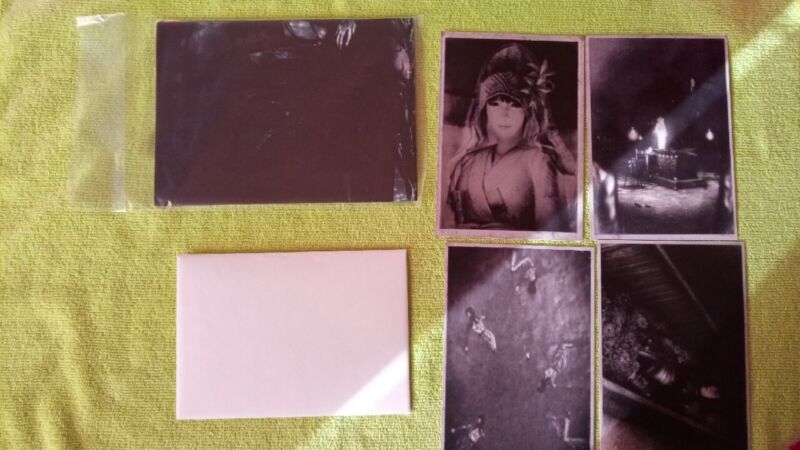 Project Zero Fatal Frame limited