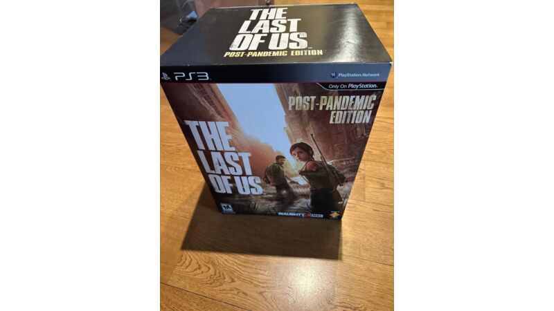 The last of Us post pandemic